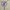 Streetwear Sportswear Bomber jacket Pria tan cream photo 7