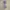 Streetwear Sportswear Bomber jacket Pria tan cream photo 6