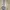 Streetwear Sportswear Bomber jacket Pria tan cream photo 5