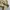 Gu Superwide Cargo Ballon Pants photo 6