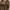 ugg tasman 2 photo 1