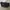 Longchamp Black Messenger Bag