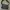 Longchamp Black Messenger Bag photo 1