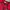 Tommy Hilfiger Streetwear Sportswear Sweatshirt Wanita red photo 2