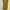dress kuning mustard daster baju rumah photo 1