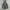 Vintage bangbang jeans short overall  photo 1