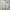 Track Jacket DAST Y.O.S.C - White photo 1