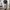 Y2K Sweatpants & Joggers Pria gray photo 1