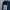 Tracktop/Track Jacket Adidas Balok Ringer photo 1
