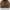 Casual Harrington jacket Pria brown photo 4