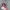 Item(s): Vintage Star Wars Princes Leia Vintage photo 2