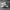 Puma Streetwear Minimalist Sneakers Pria white photo 1