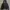 Nike Streetwear Sportswear Hoody Pria black photo 1