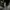 Zara black double-faced faux leather shearling jacket photo 6