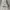 Zara black double-faced faux leather shearling jacket photo 5