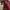 NO NEGO! Maroon Red Mini Handbag photo 10