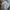 Nike Streetwear Casual Hoody Pria gray photo 7