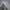 Nike Streetwear Casual Hoody Pria gray photo 1