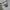 Nike Streetwear Casual Hoody Pria gray photo 5