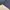 Kodak Casual Sweatshirt Wanita purple photo 5