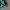 Nike Sportswear Windbreaker Pria green photo 6