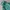 Nike Sportswear Windbreaker Pria green photo 2