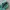 Nike Sportswear Windbreaker Pria green photo 4