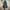 Kumikyoku Washed Onward Blazer Denim Jacket photo 10