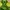 Sportswear T-shirt Pria green photo 2