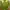 Sportswear T-shirt Pria green photo 1