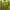 Sportswear T-shirt Pria Green