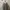 Restyle.pbg || Outer Set Grey  photo 1