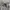 WHO.A.U Skater Casual Hoody Pria gray photo 3