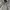 WHO.A.U Skater Casual Hoody Pria gray photo 2
