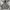 Skater Casual Hoody Pria gray photo 1