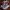Nike Air Max DIA Womens Size 5 (PlumChalk/Black-SummitWhite) photo 2