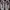 Nike Air Max DIA Womens Size 5 (PlumChalk/Black-SummitWhite) photo 5