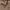 Carhartt Vintage Casual Sweater Pria brown photo 2