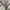 Zara women overcoat original photo 8