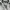 Zara women overcoat original photo 8