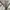 Zara women overcoat original photo 3