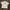 Polo Shirt Romantic Crew Korean Brand photo 2