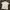 Polo Shirt Lacoste Emboirded
