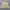 Carhartt Streetwear Casual Puffer jacket Pria cream photo 5