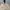 Carhartt Streetwear Casual Puffer jacket Pria cream photo 2