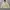 Carhartt Streetwear Casual Puffer jacket Pria cream photo 1