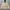 Carhartt Streetwear Casual Puffer Jacket Pria Cream