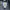Carhartt Streetwear Casual Puffer jacket Pria cream photo 3