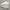 Nike Air Force 1 White photo 1