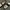 VANS AUTHENTIC VAULT OG BLACK WHITE photo 7